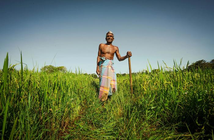 Traditional farmer in Udawalawe