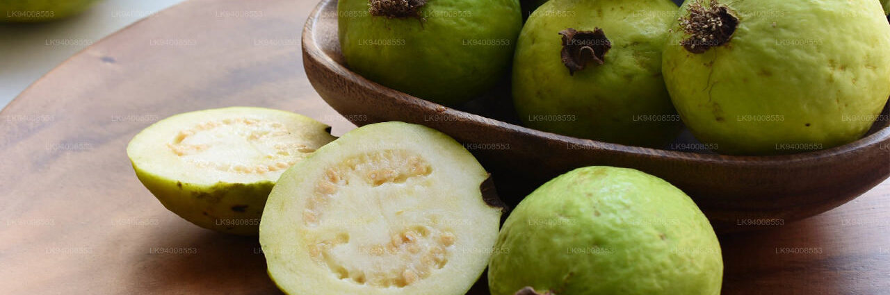 Guava harvested from Udawalawe