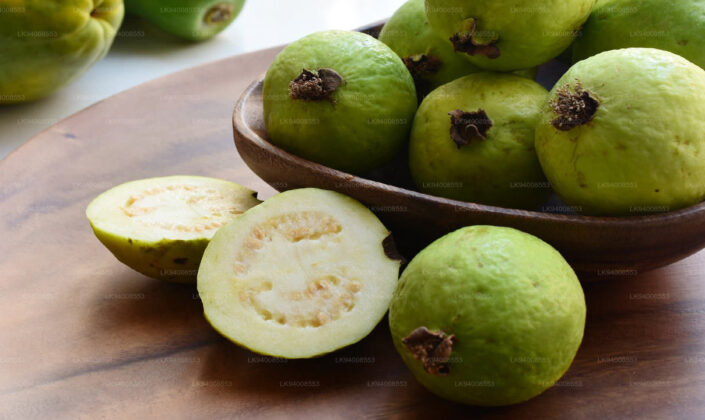 Guava harvested from Udawalawe