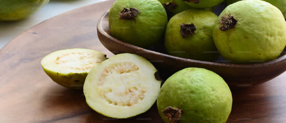 Guava harvested from Udawalawe